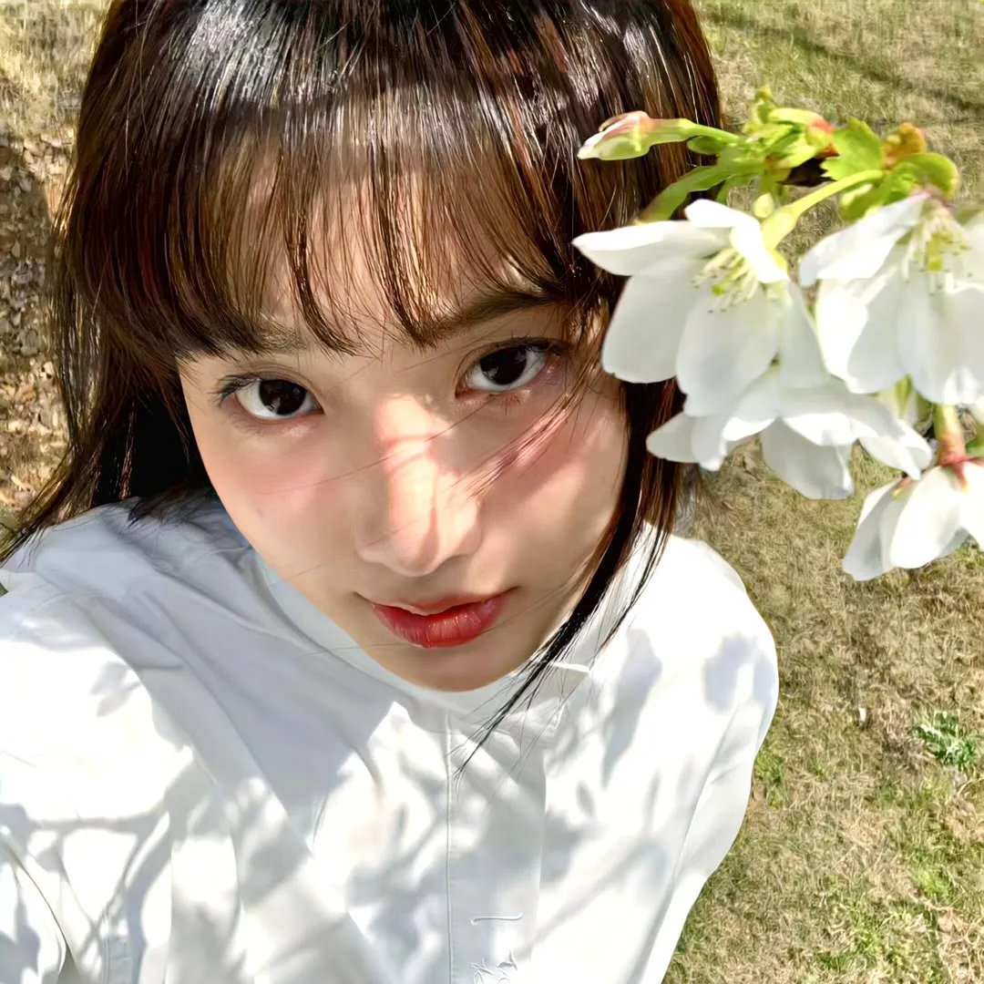 何百芮的地狱毒白